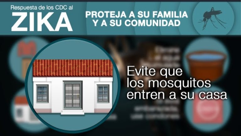 Cuando entran los mosquitos en casa