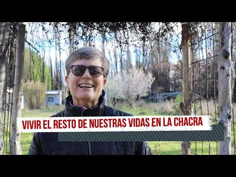 Que es el cohousing casas para envejecer con los amigos