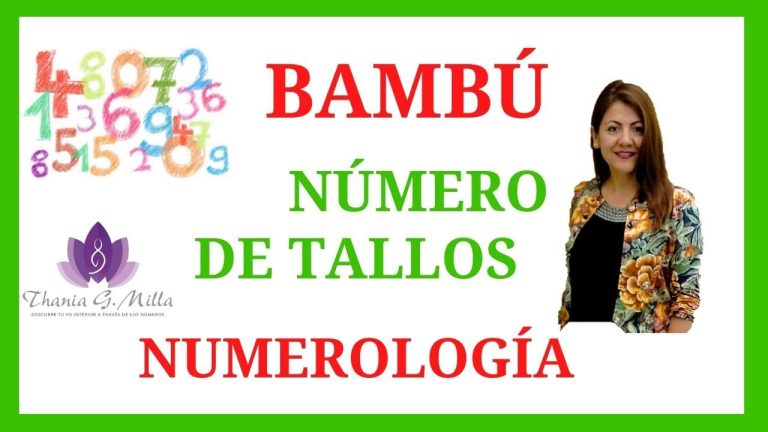 Cuantos tallos de bambú tener en casa