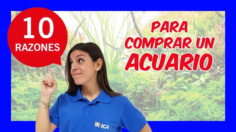 Cual es la casa de acuario