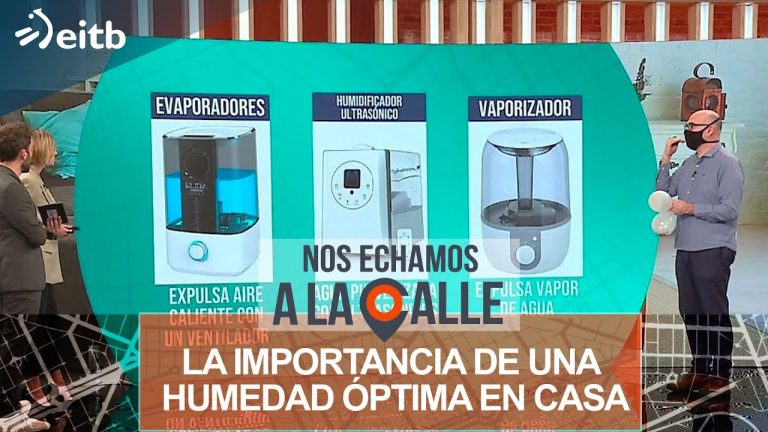 Cual es la humedad optima en casa
