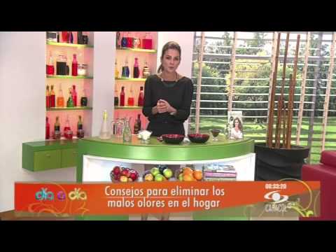 Que significa olor a vomito en la casa
