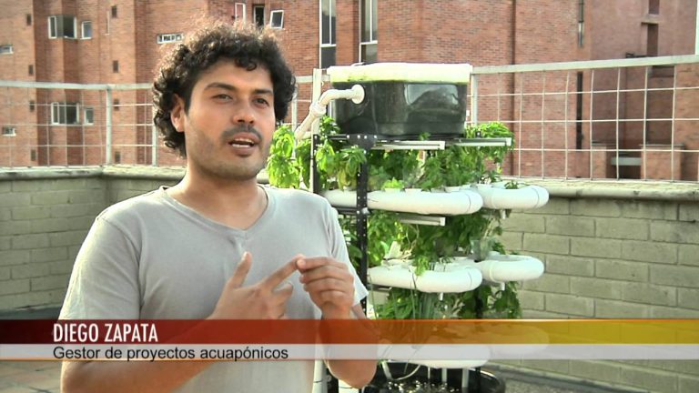 El techo de un edificio a quien pertenece