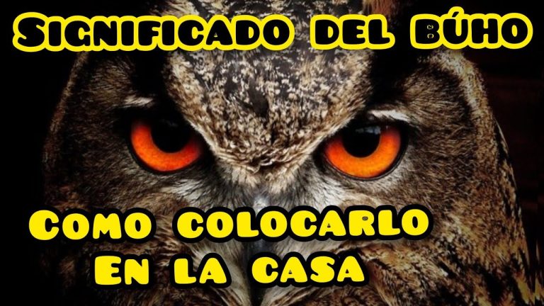 Para que sirven los buhos en la casa